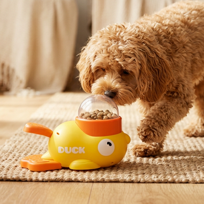 Small dog using the DUCK Little Yellow Duck Feeder Toy at home