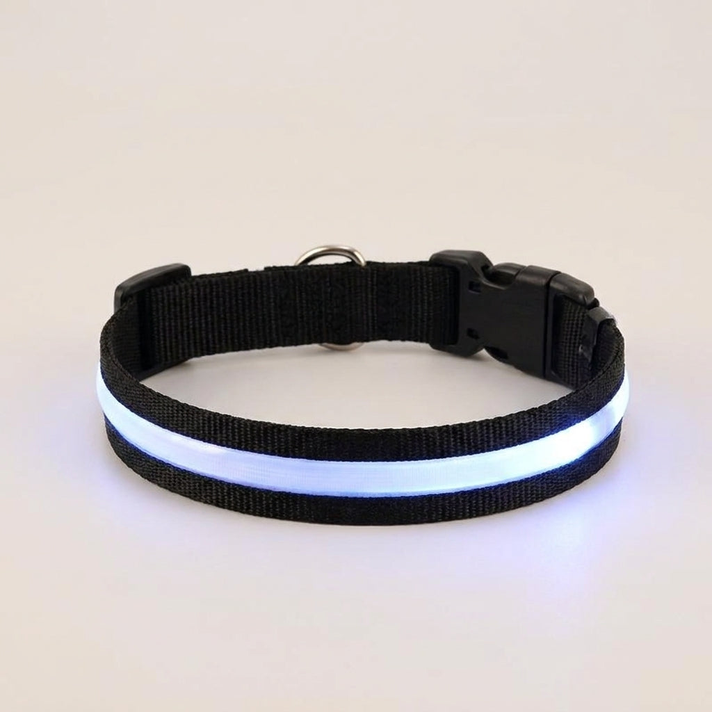Black LED dog collar with white glow