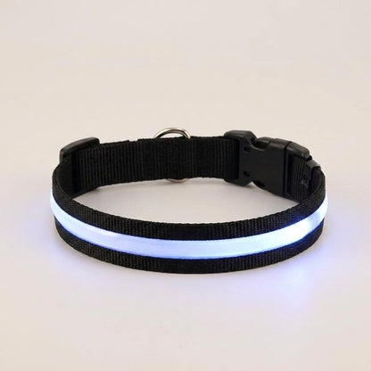 Black LED dog collar with white glow