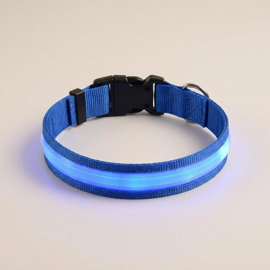 Blue LED dog collar