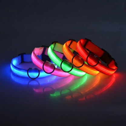 LED dog collars glowing in blue, pink, green, orange and red
