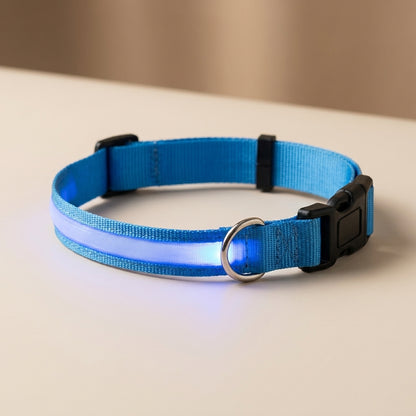 Close-up of the nylon LED dog collar showing the buckle and metal D-ring