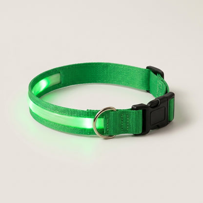 Green LED dog collar