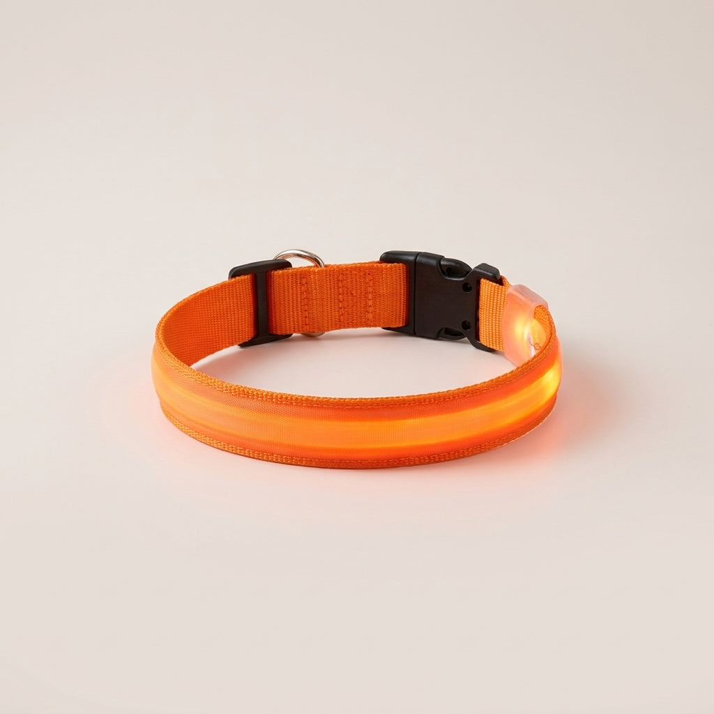 Orange LED dog collar