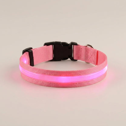 Pink LED dog collar