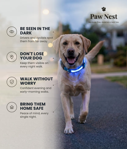 LED dog collar benefits: be seen in the dark, don't lose your dog, walk without worry, bring them home safe