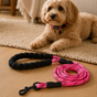 Dog lying on a carpet with a black and pink dog leash on a wooden floor.